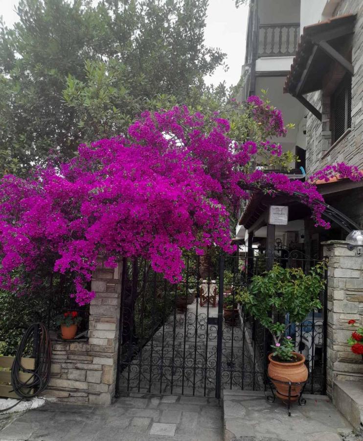 Papatzikos Traditional Guesthouse Neos Marmaras Exterior photo